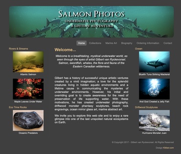 Salmon Photos